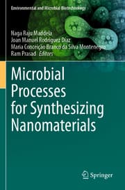 Cover von Microbial Processes for Synthesizing Nanomaterials
