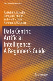 Cover von Data Centric Artificial Intelligence: A Beginners Guide