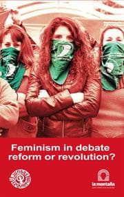 Cover von Feminism in debate, reform or revolution?
