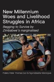 Cover von New Millennium Woes and Livelihood Struggles in Africa