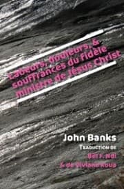 Cover von Labeurs, douleurs, et souffrances du fid¿le ministre de J¿sus Christ