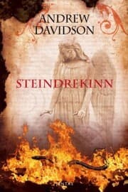 Cover von Steindrekinn