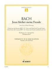Cover von Jesus bleibet meine Freude