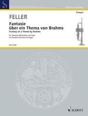 Cover von Fantasie über ein Thema von Brahms