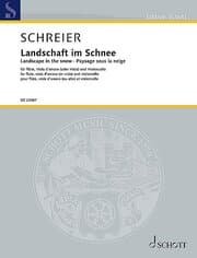 Cover von Landschaft im Schnee