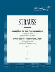 Cover von Der Zigeunerbaron op. 13