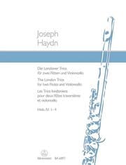 Cover von Flötenmusik