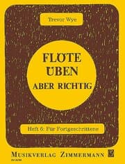 Cover von Flöte üben - aber richtig