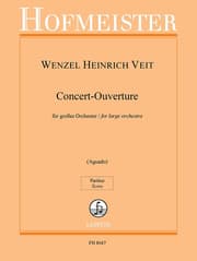 Cover von Konzert-Ouverture für großes Orchester