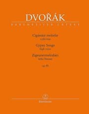 Cover von Zigeunermelodien op. 55