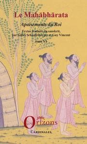Cover von Le Mahabharata - Tome VI