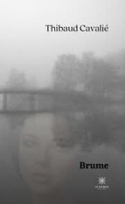 Cover von Brume