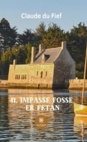 Cover von 41, impasse Fosse er Fetan