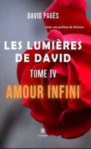 Cover von Les lumières de David - Tome 4