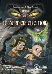 Cover von Liann et le dernier elfe noir