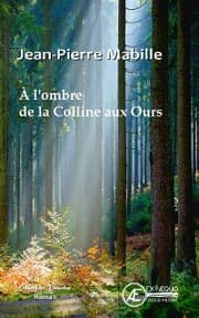 Cover von À l'ombre de la Colline aux Ours