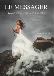 Cover von LE MESSAGER Tome 2