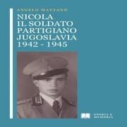 Cover von Nicola il soldato partigiano