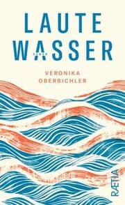 Cover von Laute Wasser