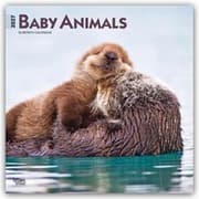 Cover von Baby Animals/Tierbabys/Tierkinder 2027
