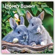 Cover von Honey Bunny/Süße Häschen 2027