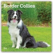 Cover von Border Collies 2027