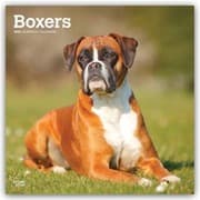 Cover von Boxers/Boxer 2027