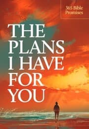 Cover von The Plans I Have for You