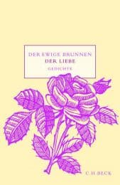 Cover von Der ewige Brunnen der Liebe