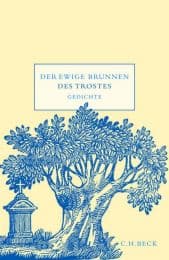 Cover von Der ewige Brunnen des Trostes