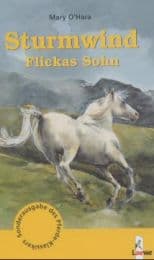 Cover von Sturmwind, Flickas Sohn