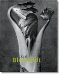 Cover von Karl Blossfeldt 1865-1932