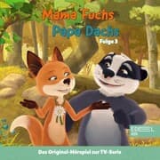 Cover von Folge 3: Das Geheimnis (Das Original Hörspiel zur TV-Serie)
