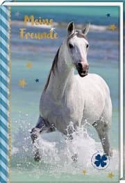 Cover von Meine Freunde - Pferd am Meer