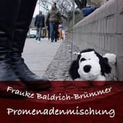 Cover von Promenadenmischung - Auf den Slam gekommen