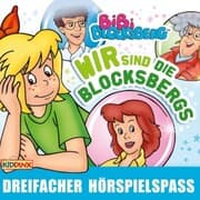 Cover von Bibi Blocksberg - Wir sind die Blocksbergs Folgen 20 + 80 + 90