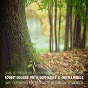 Cover von Forest Sounds with Soft Rains & Gentle Winds (without music) for Deep Sleep, Meditation, Relaxation
