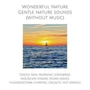 Cover von Wonderful Nature: Gentle nature sounds (without music)
