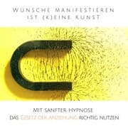 Cover von Wünsche manifestieren ist (k)eine Kunst - Das Gesetz der Resonanz entfesseln