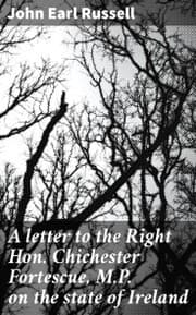 Cover von A letter to the Right Hon. Chichester Fortescue, M.P. on the state of Ireland