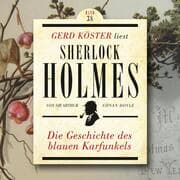 Cover von Die Geschichte des blauen Karfunkels