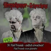 Cover von Folge 38: Fünf Freunde - Endlich erwachsen! Fünf Freunde essen glutenfrei