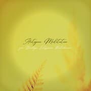 Cover von Autogene Meditation zum Beruhigen, Entspannen, Runterkommen (XXL-Bundle)