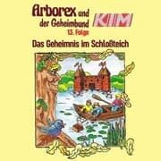 Cover von 13: Das Geheimnis im Schloßteich