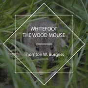 Cover von Whitefoot the Wood Mouse