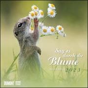 Cover von Sag es durch die Blume 2023