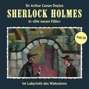 Cover von Im Labyrinth des Wahnsinns