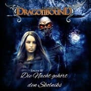 Cover von Die Nacht gehört den Skolniks