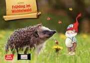 Cover von Frühling im Wichtelwald. Kamishibai Bildkartenset