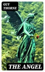 Cover von The Angel